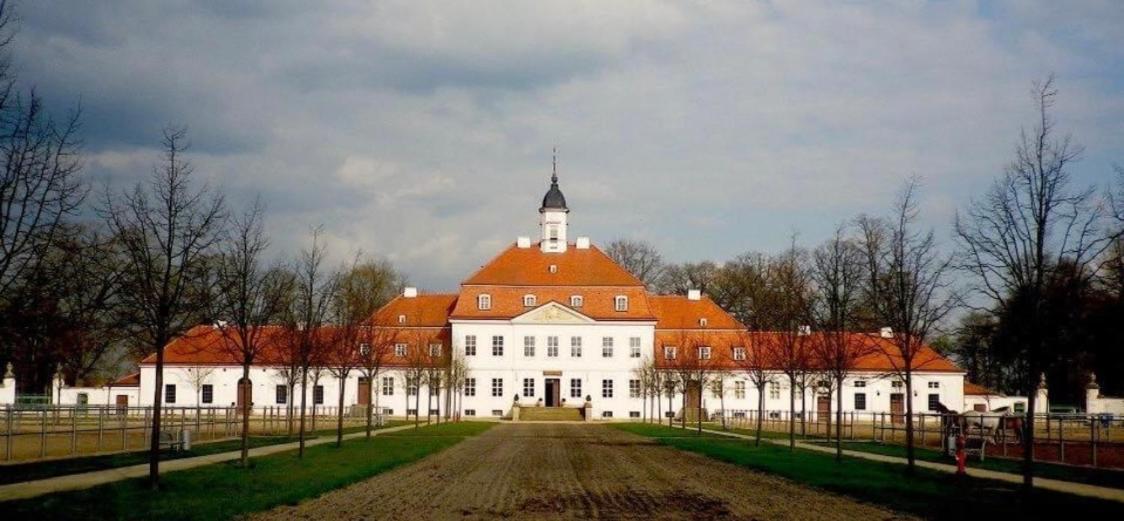 Internat Schloss Spiegelberg Bed and Breakfast Neustadt  Buitenkant foto